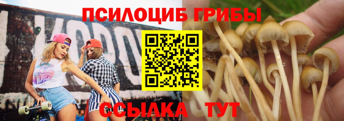 Галлюциногенные грибы мицелий Моршанск